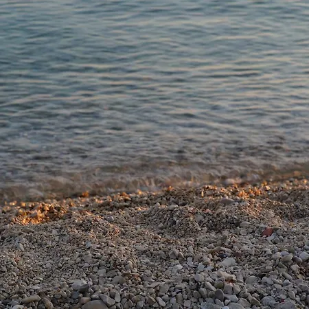 Karla ביבינייה